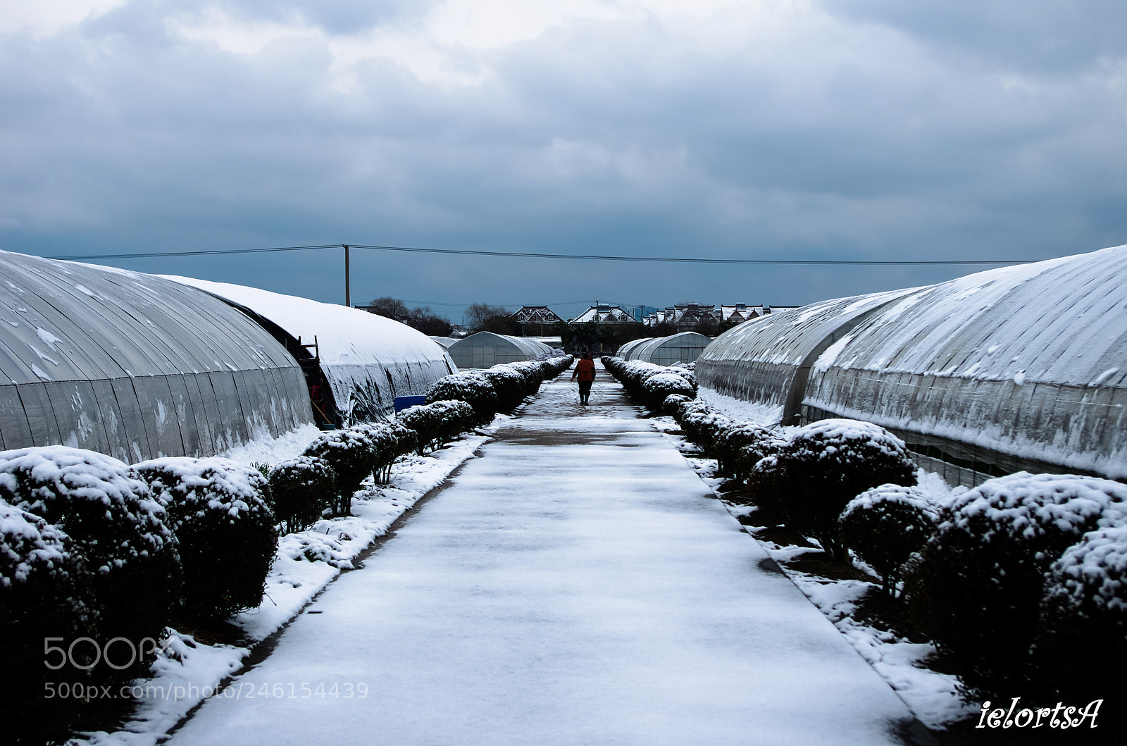 Pentax K-5 sample photo. Snow photography
