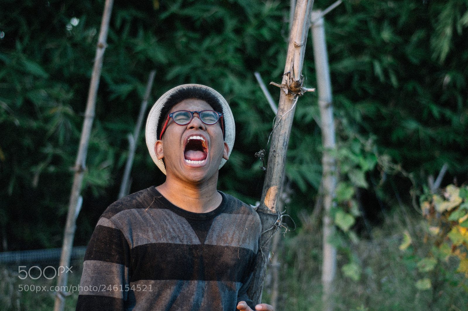 Nikon D3100 sample photo. Brown skin man scream #1 photography
