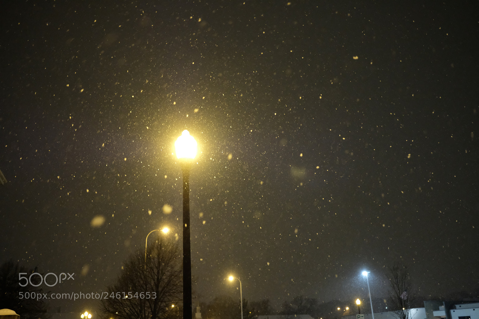 Fujifilm X-T2 sample photo. Gently falling photography