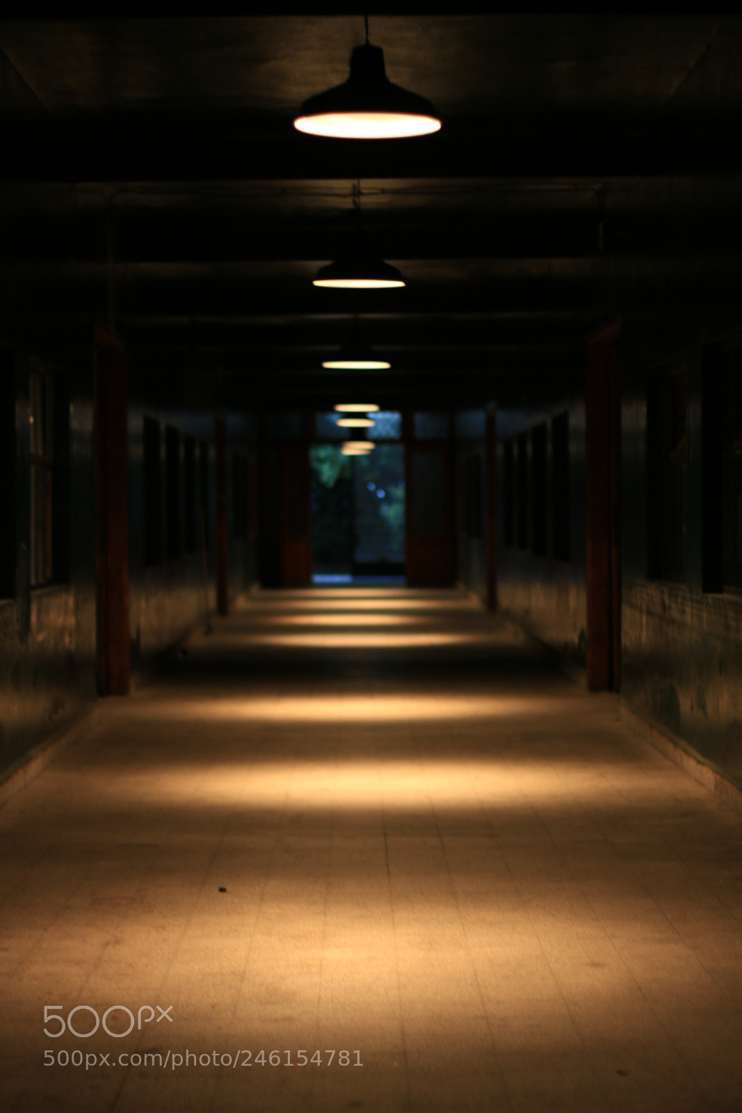 Canon EOS 70D + Canon EF 50mm F1.8 II sample photo. Vintage entrance in lebanon photography