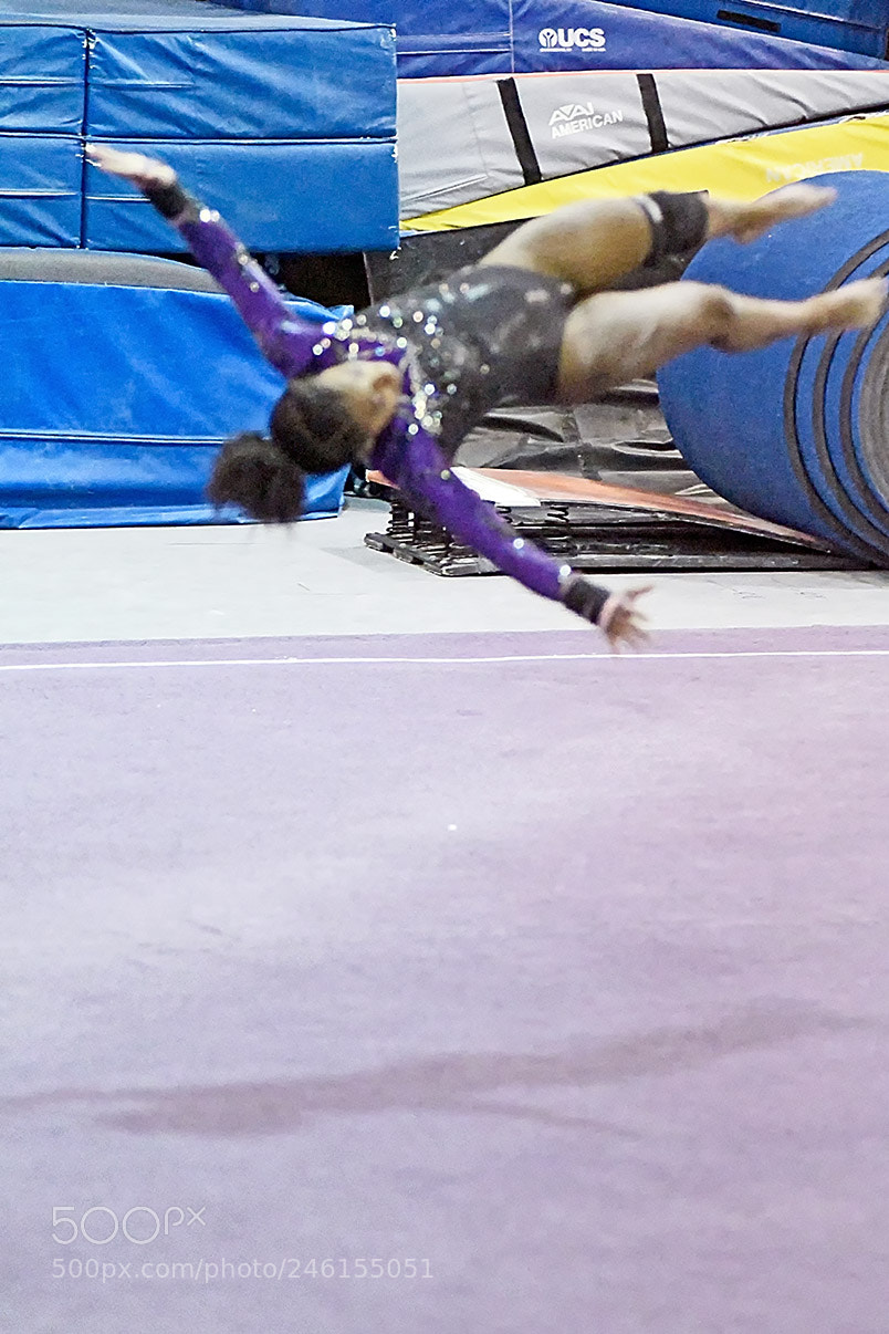 Nikon D500 sample photo. 2-8_1916.jpg photography