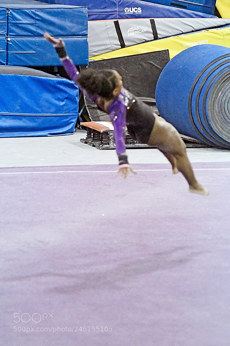 Nikon D500 sample photo. 2-8_1917.jpg photography