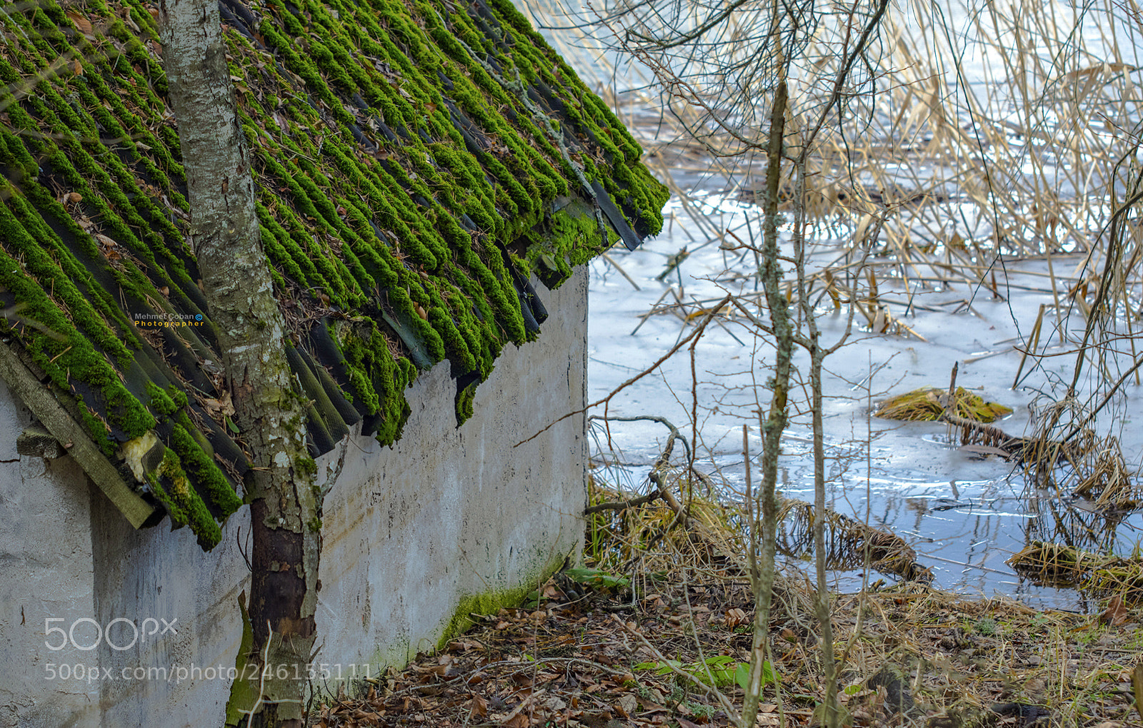 Pentax K-3 II sample photo. Seaweed house photography