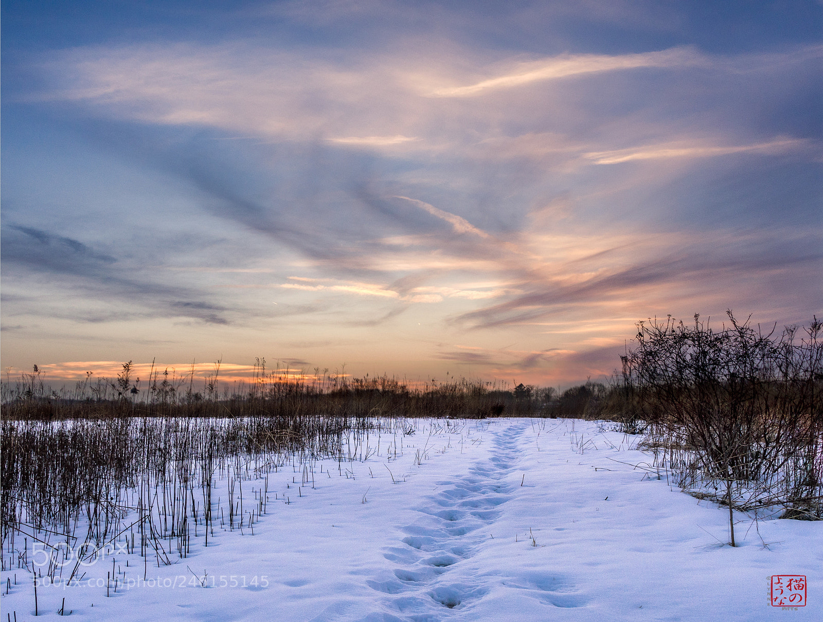 Sony a7 sample photo. Off into the sunset photography