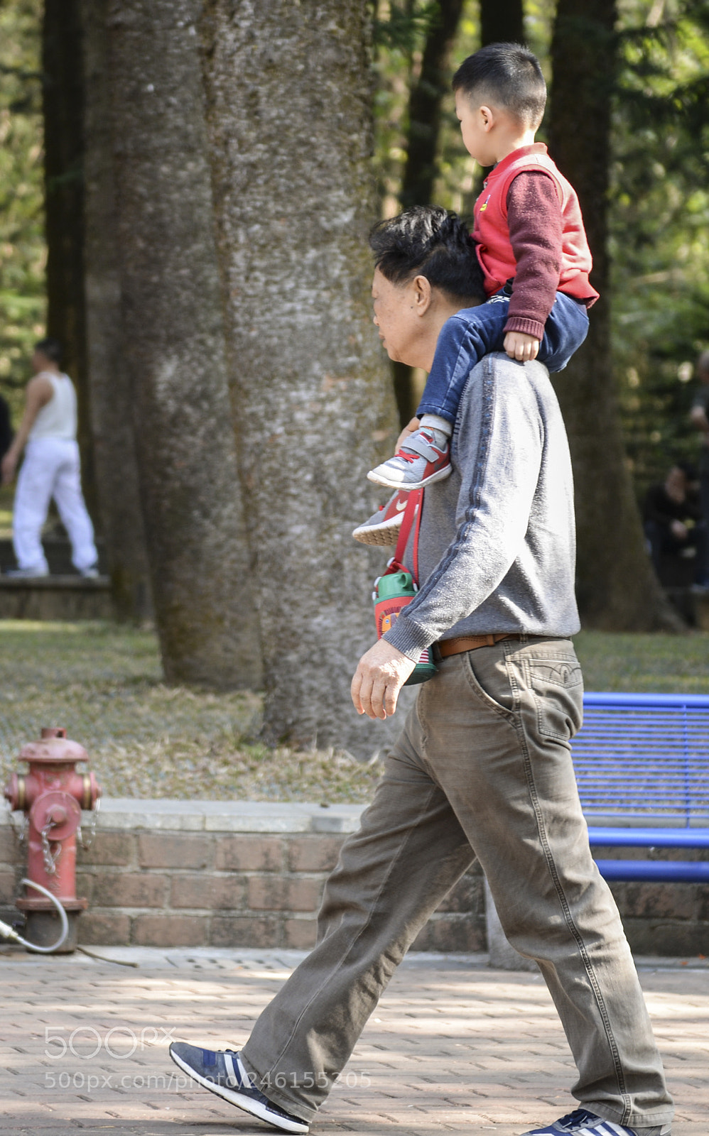 Nikon D610 sample photo. Untitled photography