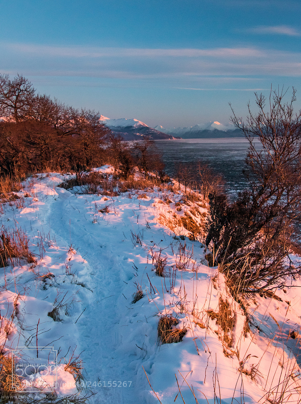 Canon EOS 760D (EOS Rebel T6s / EOS 8000D) sample photo. Snow path photography