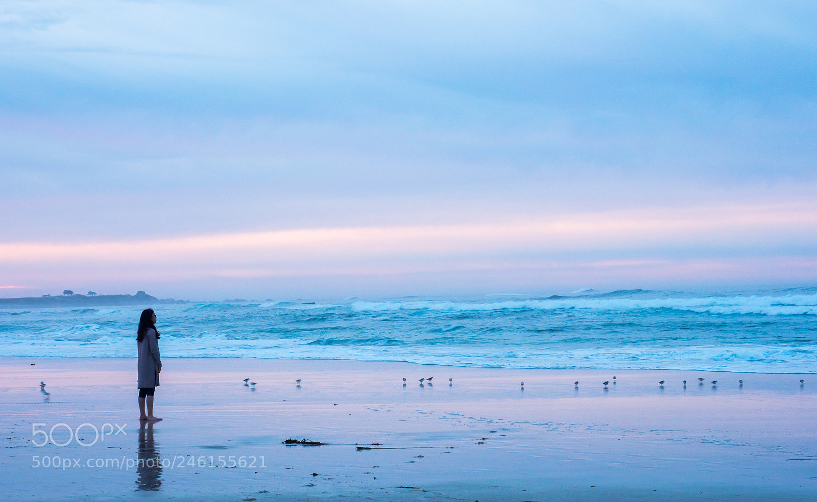 Olympus OM-D E-M1 Mark II sample photo. Pastels photography
