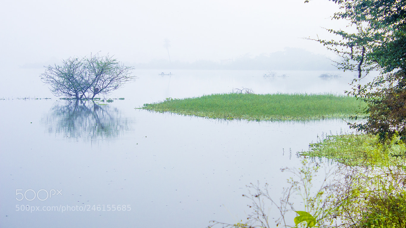 Canon EOS 600D (Rebel EOS T3i / EOS Kiss X5) sample photo. Muthanallur lake photography