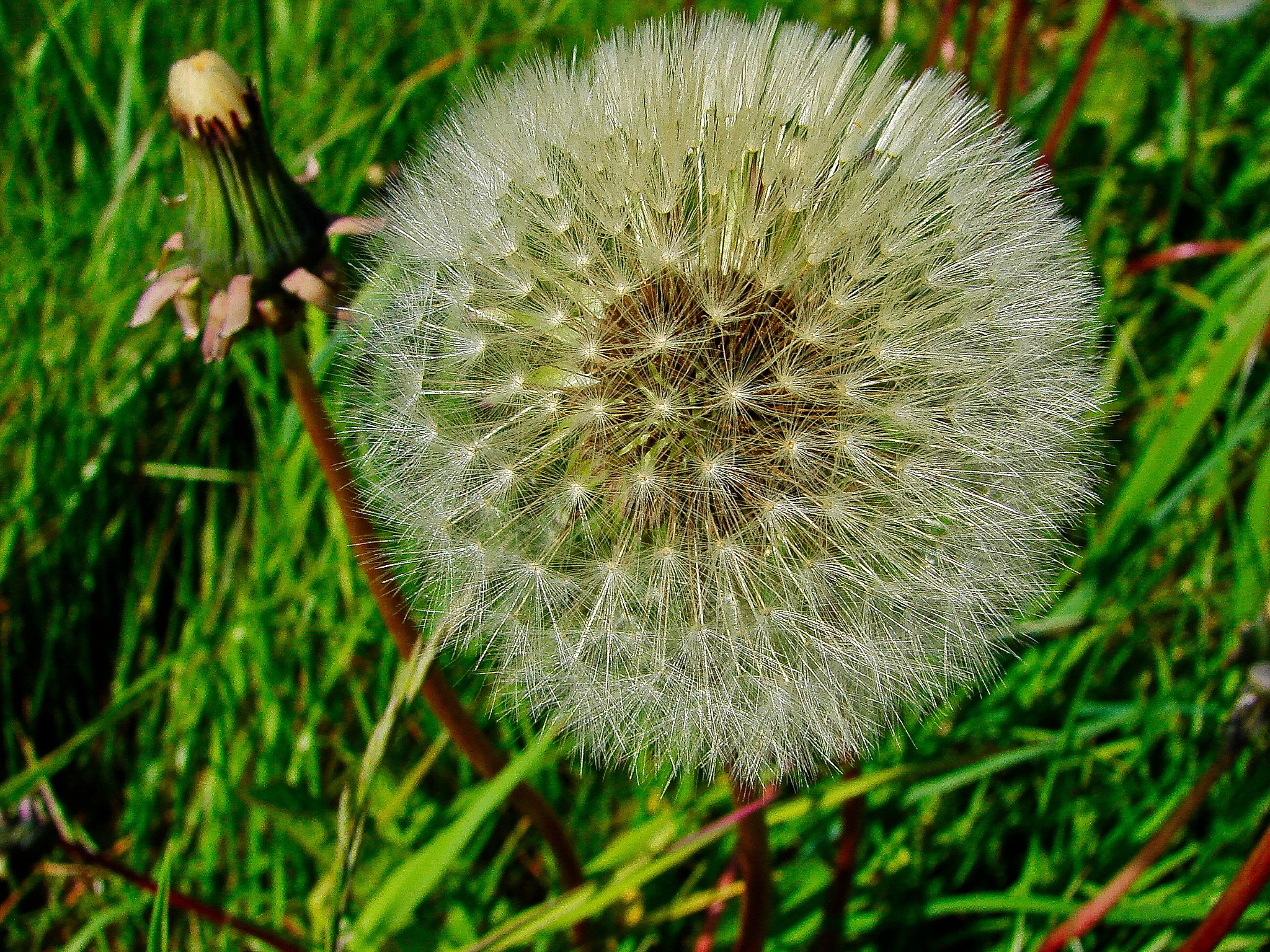 Sony DSC-H1 sample photo. Dsc00635 photography