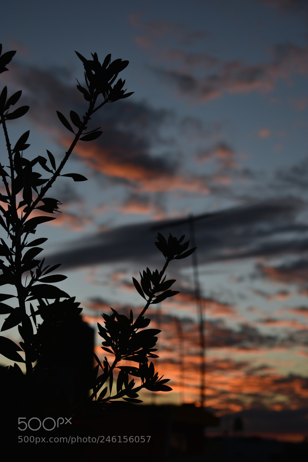 Nikon D3400 sample photo. Sombras y texturas photography