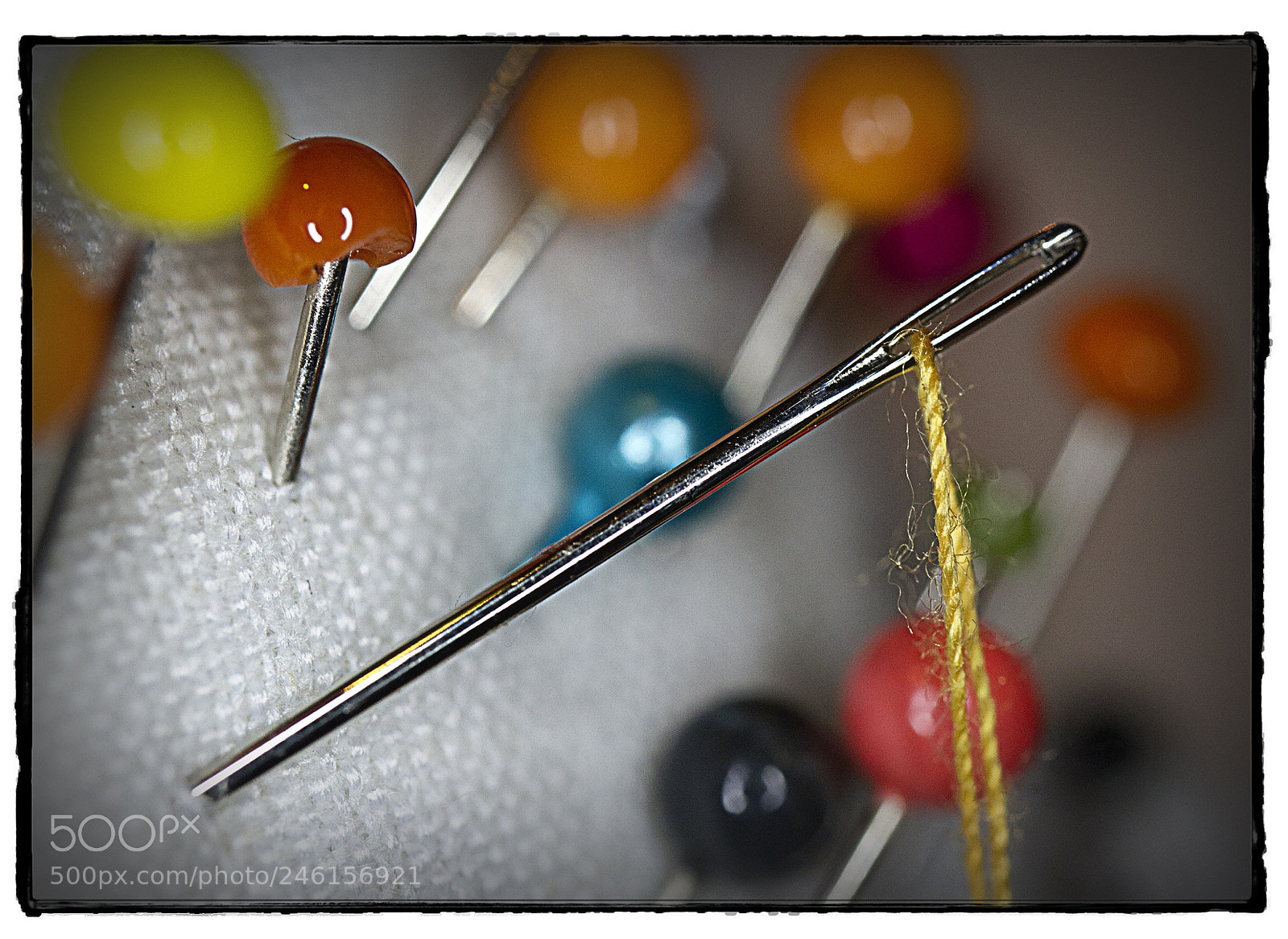 Canon EOS 7D sample photo. Needle and thread. photography