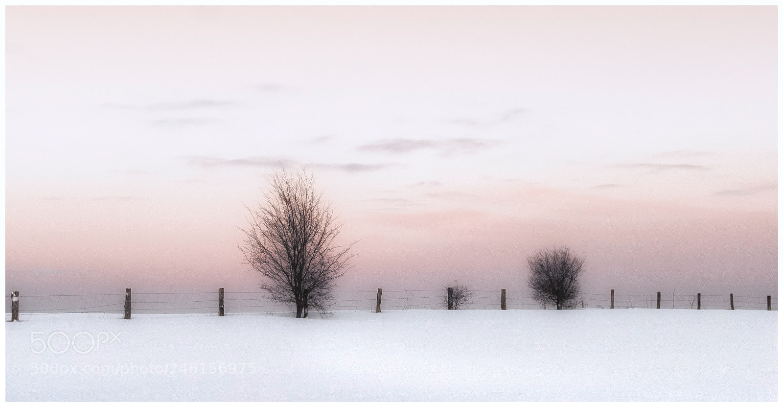Nikon D80 sample photo. Temps de neige photography