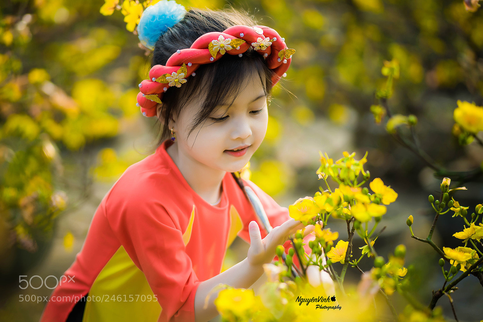 Sony a7 II sample photo. The tet holiday vi photography