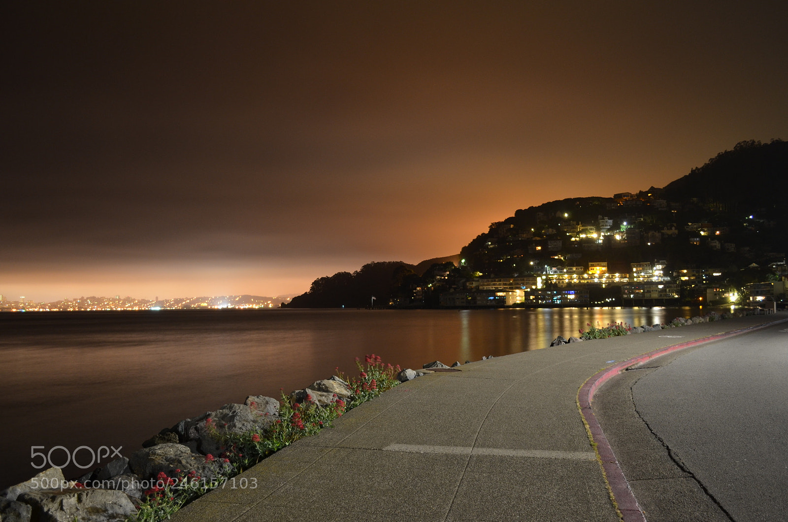 Nikon D5100 sample photo. Untitled photography
