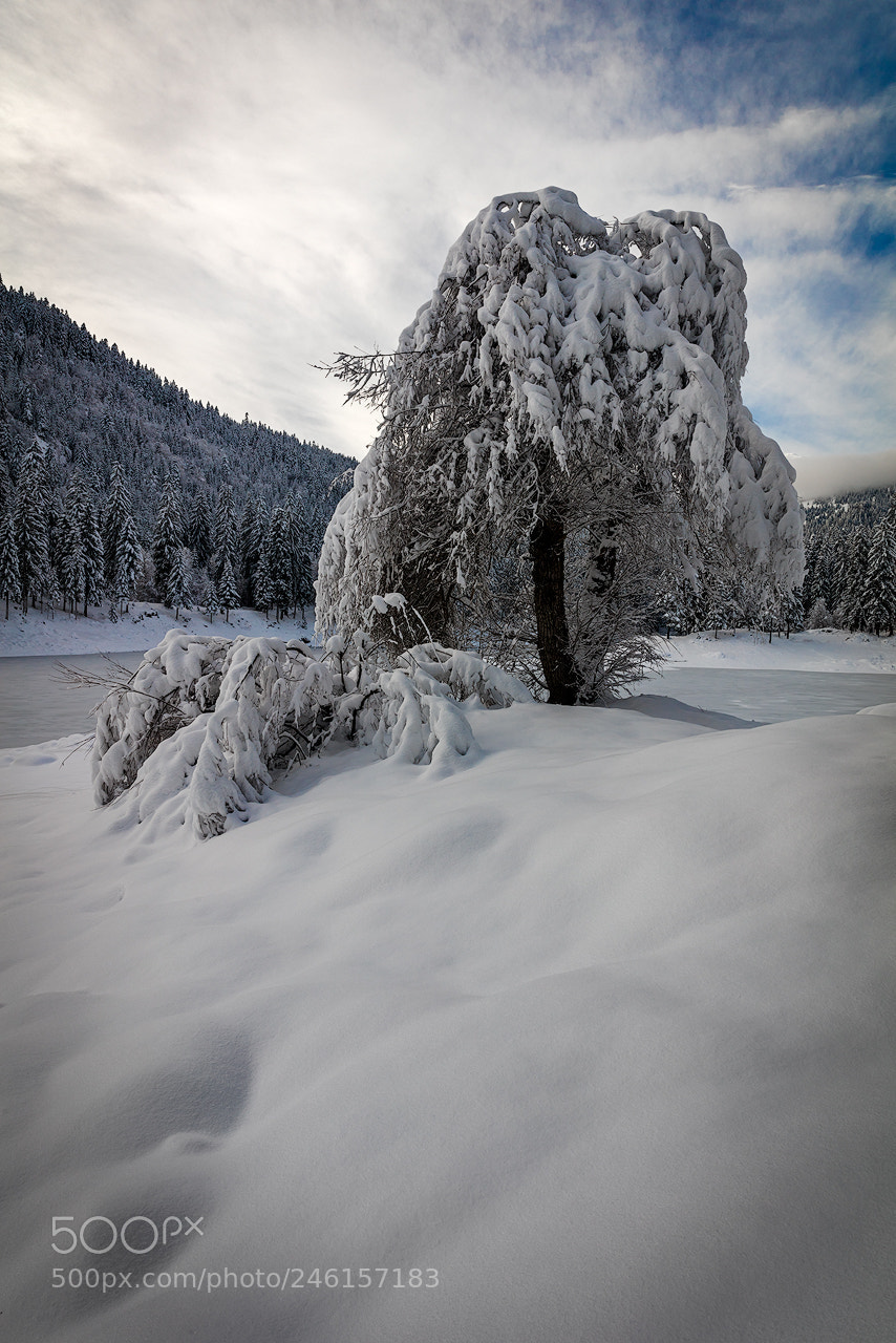 Canon EOS 5DS R sample photo. Fresh powder @ lake cauma photography