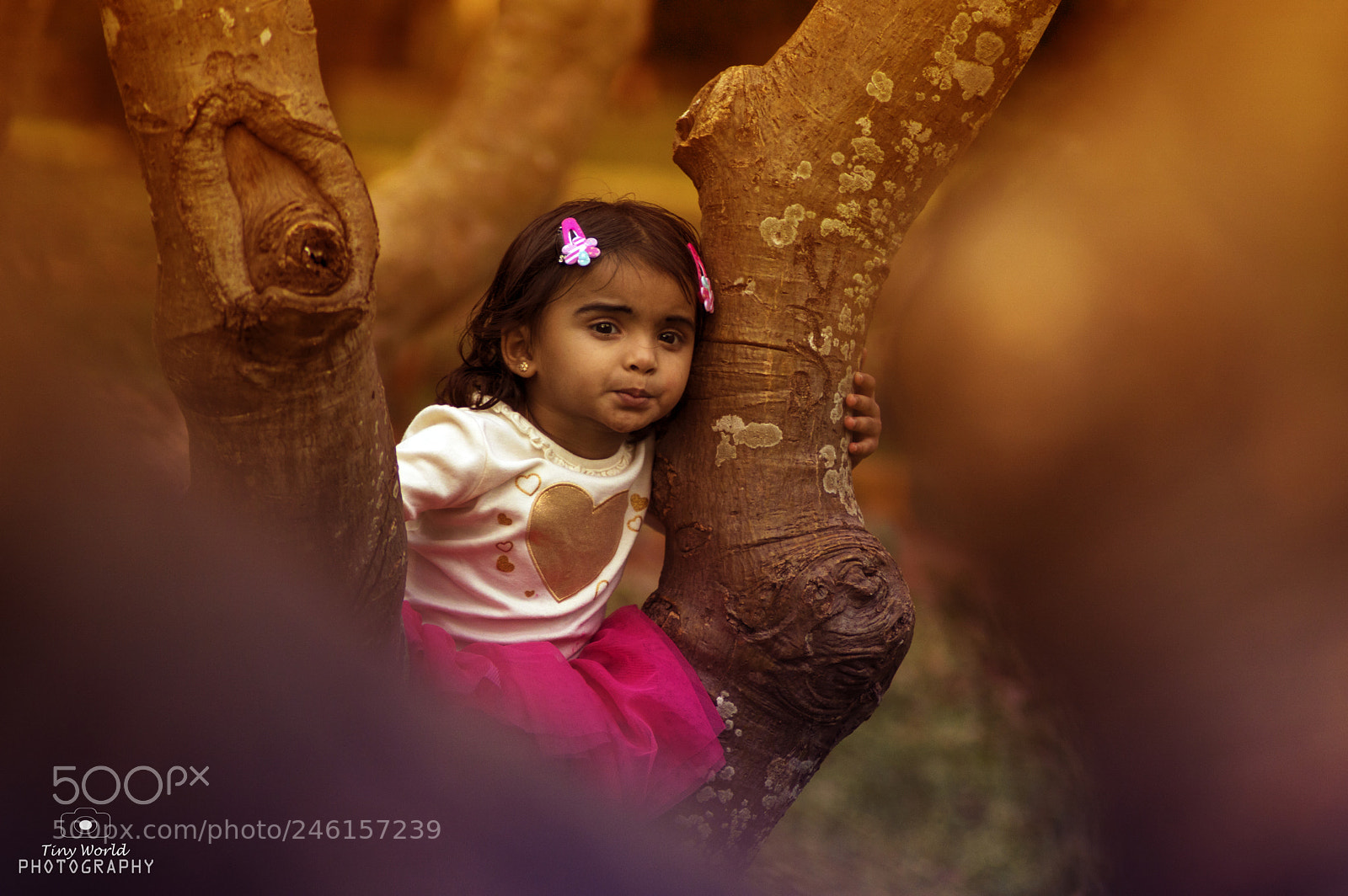 Nikon D3200 sample photo. The god gifted photography