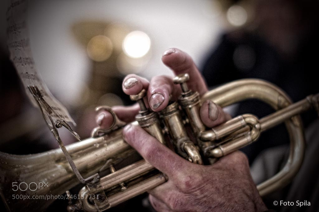Canon EOS 7D sample photo. 0486.jpg photography