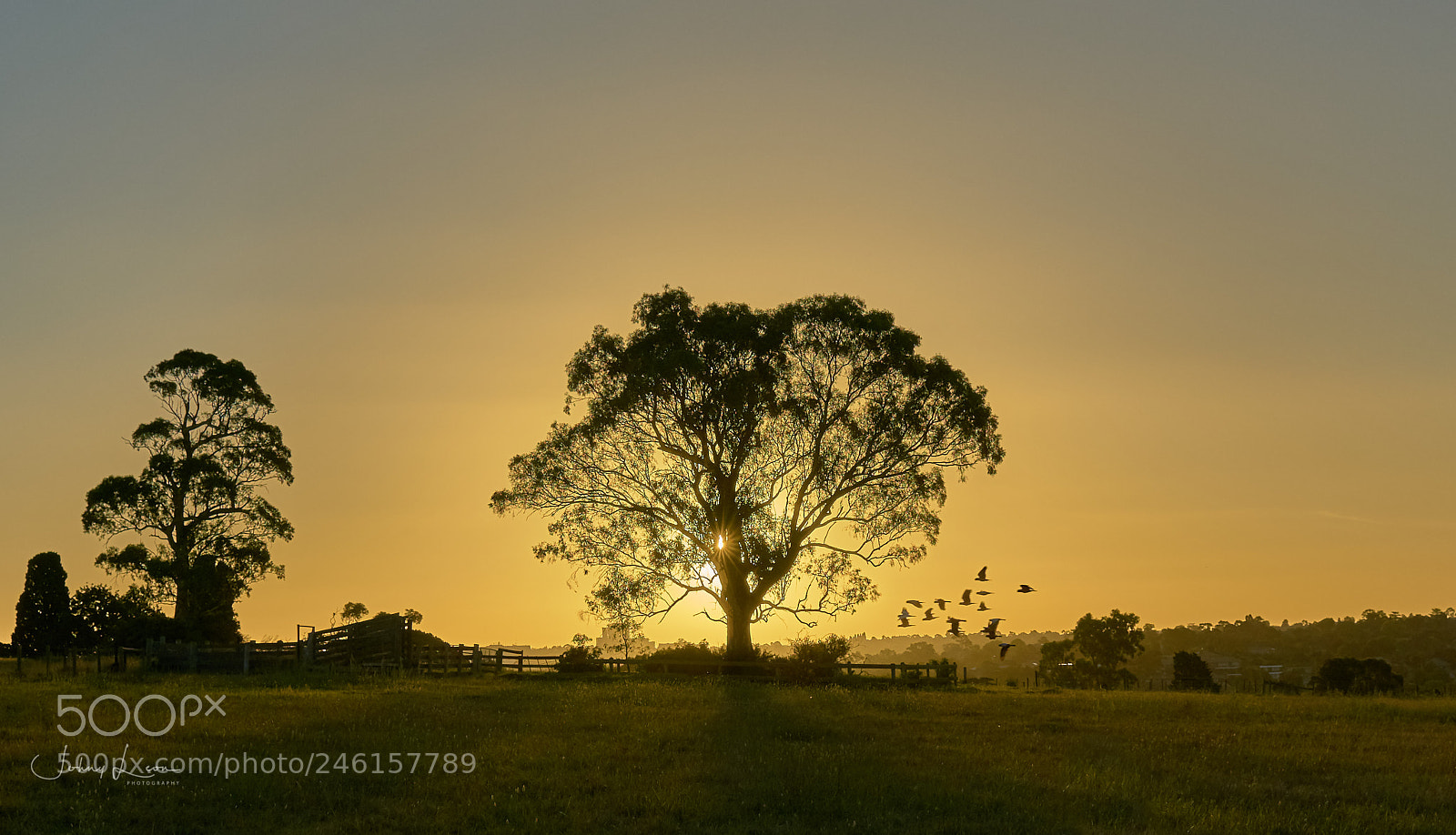 Sony a7R II sample photo. Sunset, plenty river trail photography