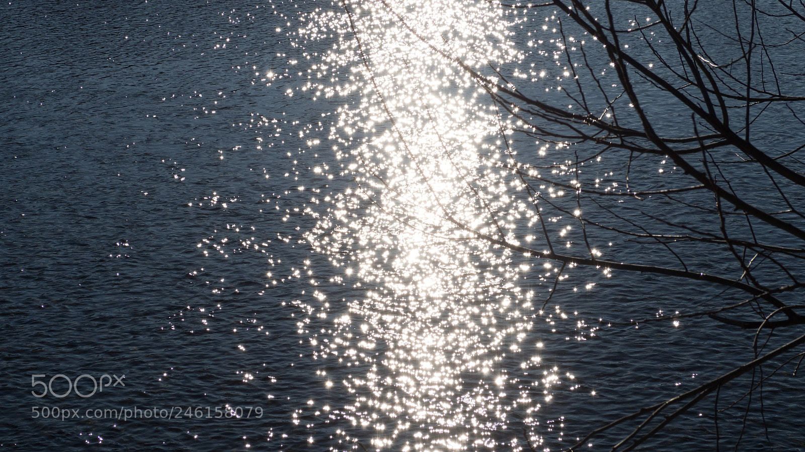 Olympus OM-D E-M10 II sample photo. Glistening river photography