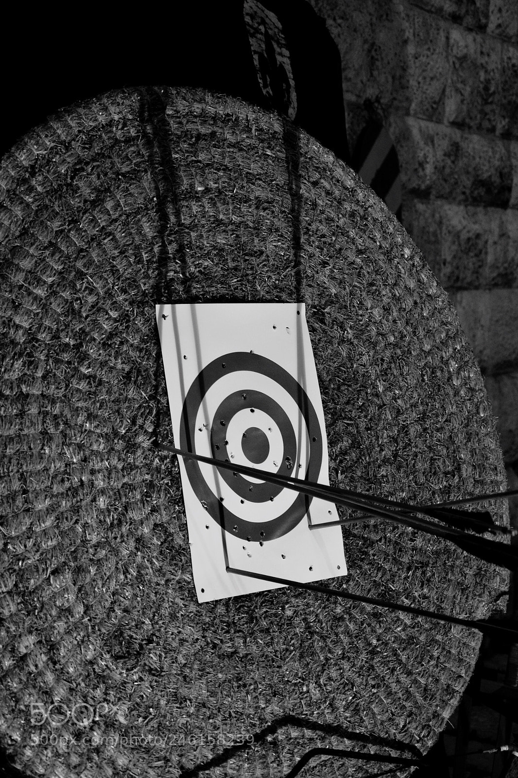 Nikon D3100 sample photo. Untitled photography