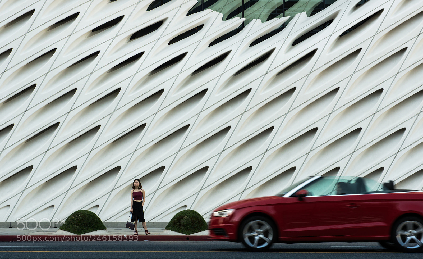 Nikon D800 sample photo. The lady and the photography