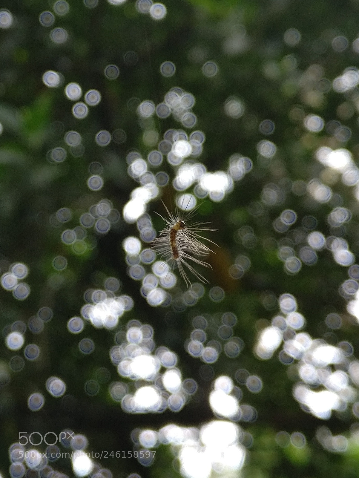 OnePlus A3003 sample photo. Love to float in photography