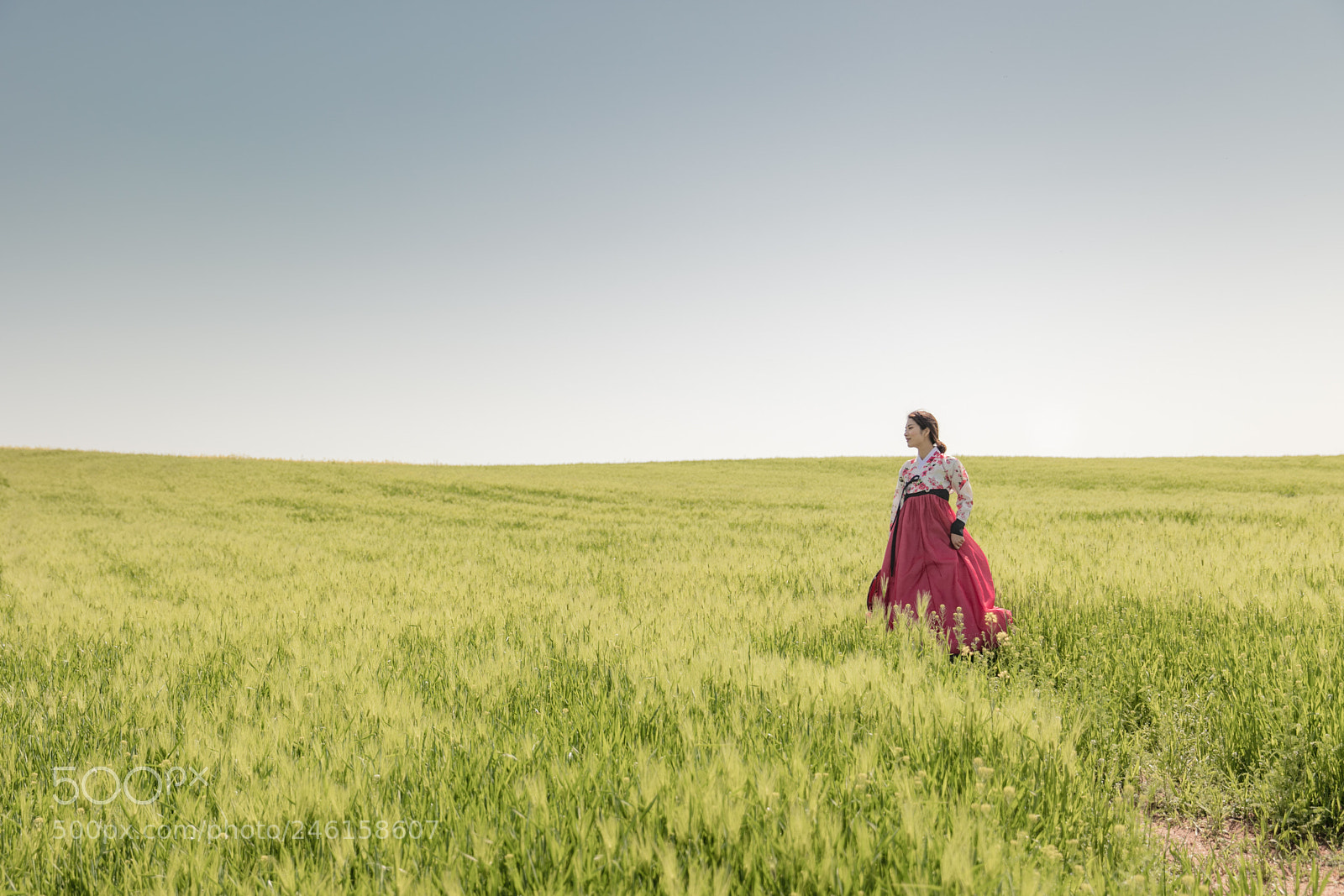 Canon EOS 5DS R sample photo. 고창 청보리밭 화보 gochang barley farm photography