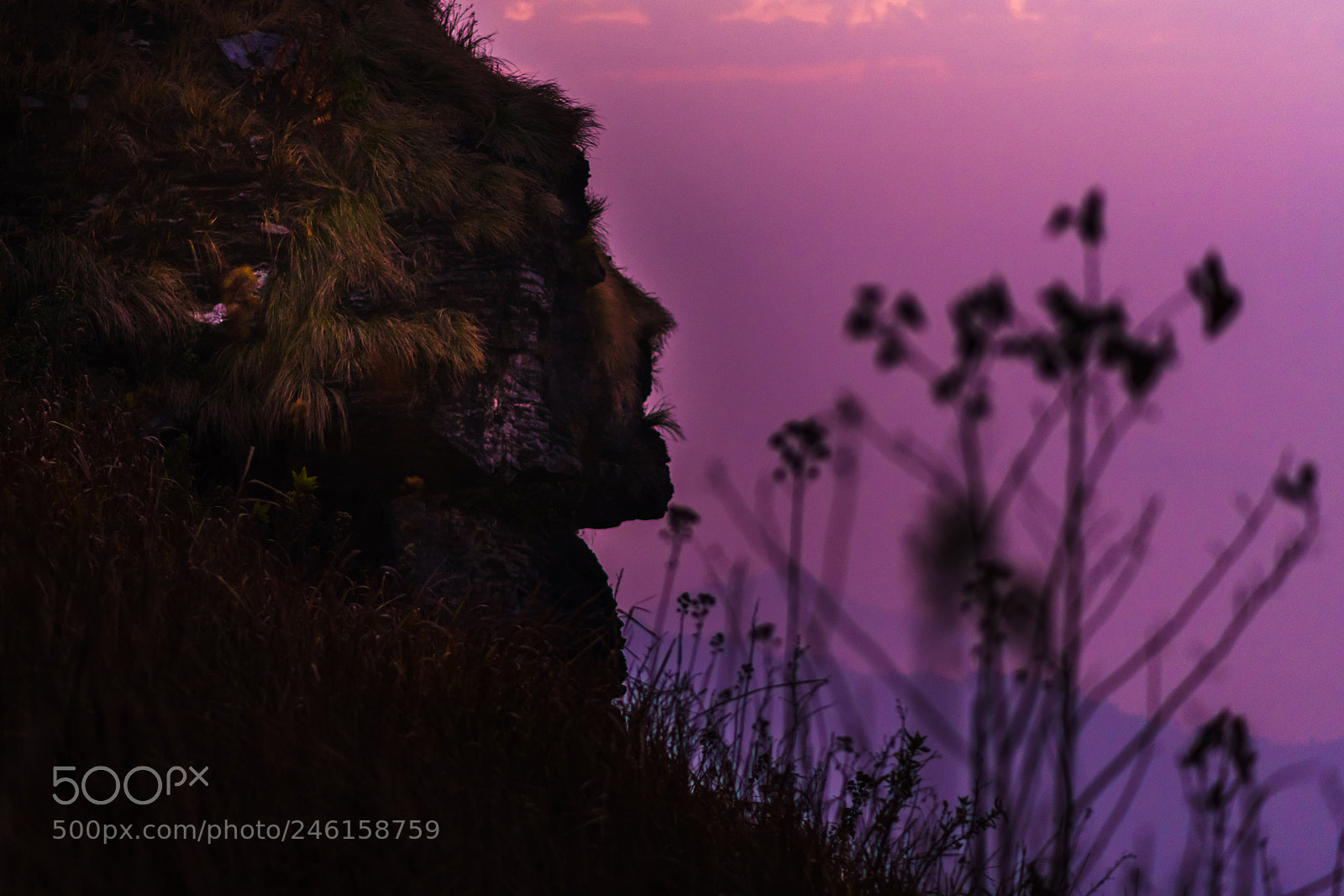 Nikon D850 sample photo. Mountain shape woman people photography