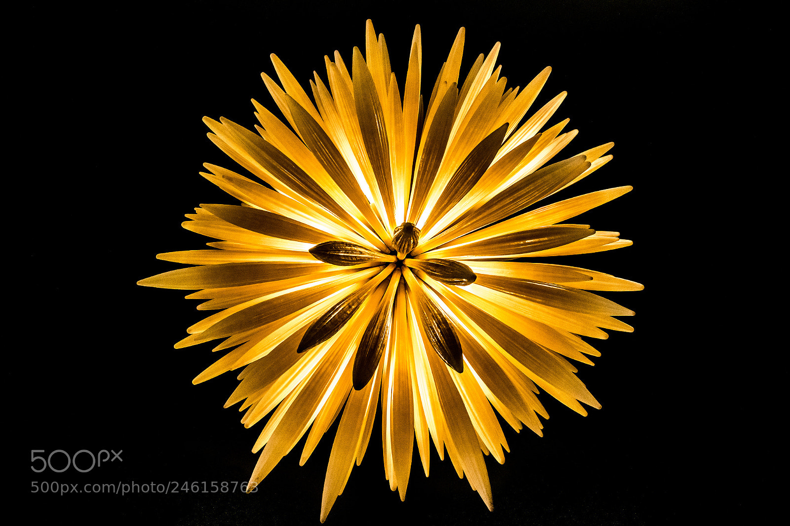 Canon EOS 7D Mark II sample photo. Light photography
