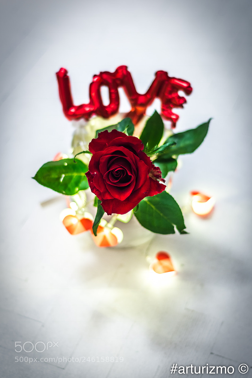 Nikon D7200 sample photo. Valentine’s day photography