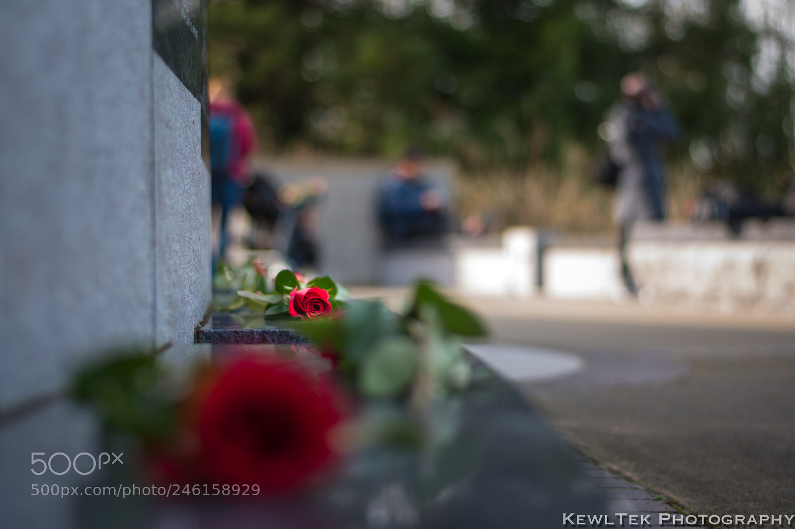 Nikon D5600 sample photo. Perspective photography