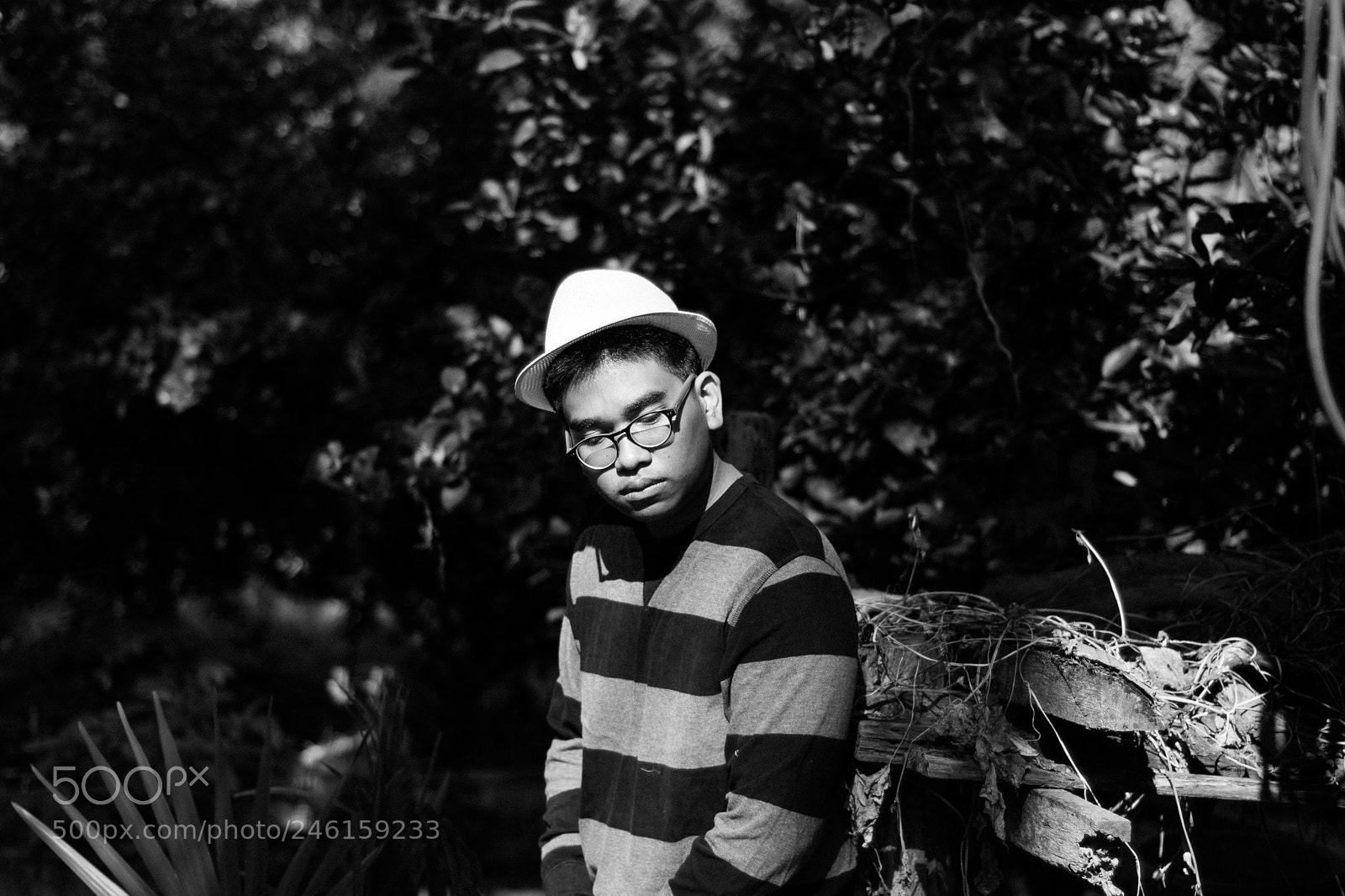 Nikon D3100 sample photo. Brown skin man smile photography
