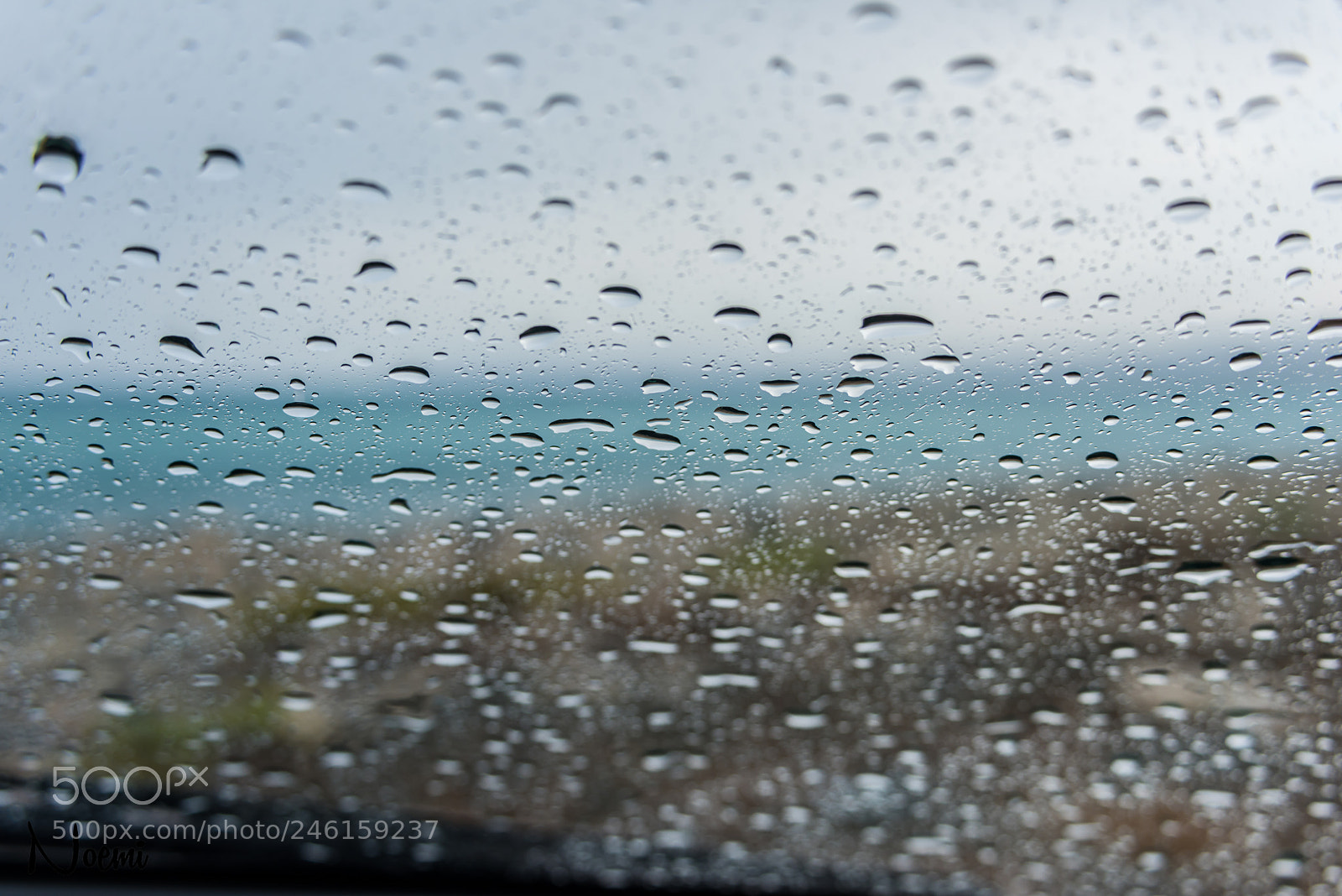 Nikon D810 sample photo. Water drops photography