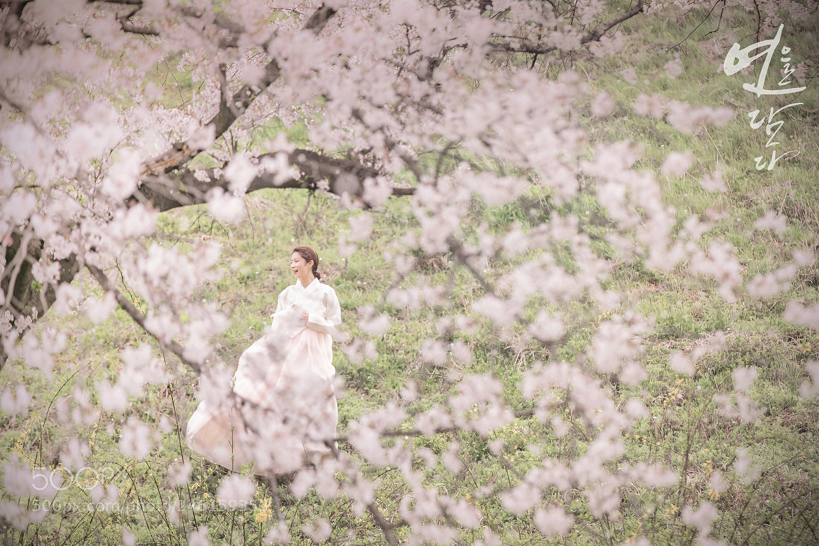 Canon EOS 5DS R sample photo. 전주 구이저수지 웨딩화보 jeonju wedding pictorial photography
