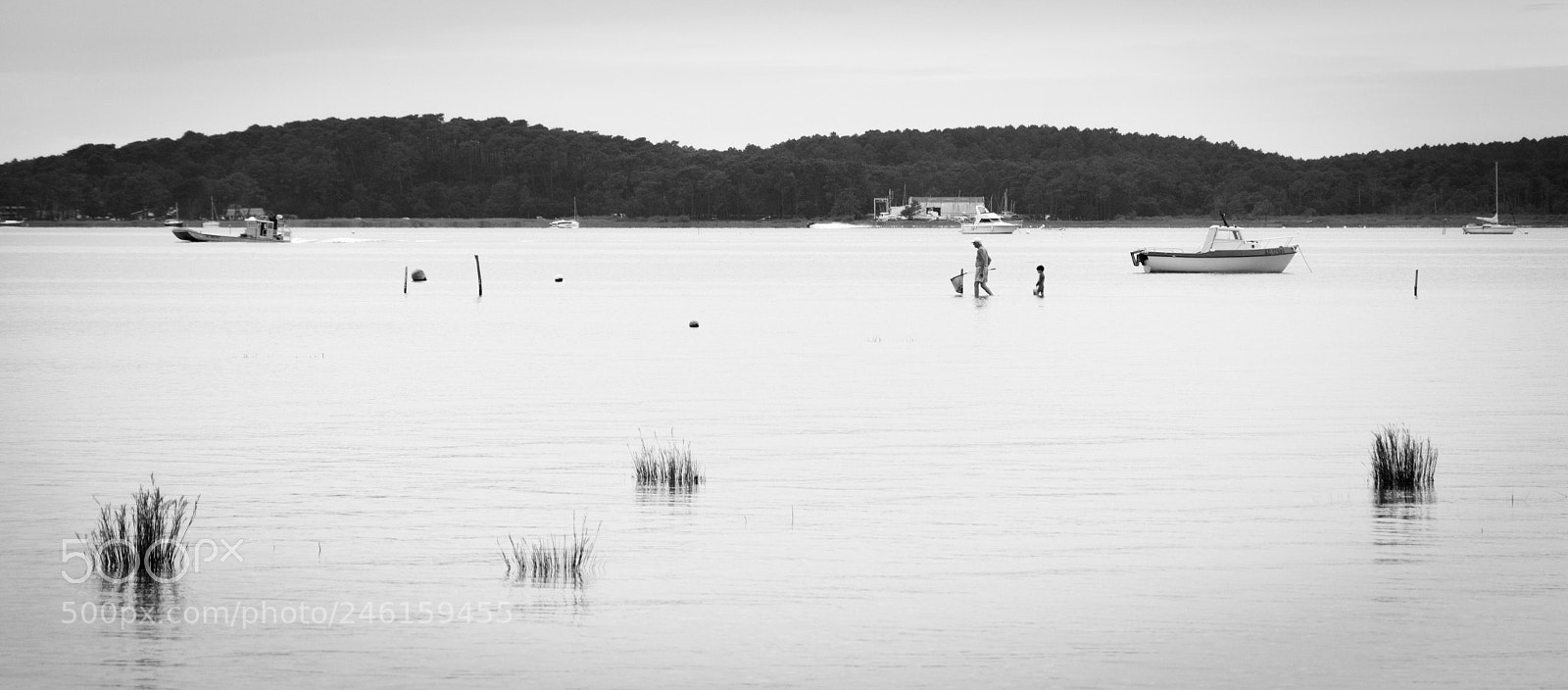 Nikon D5100 sample photo. Quiet evening for crabs photography