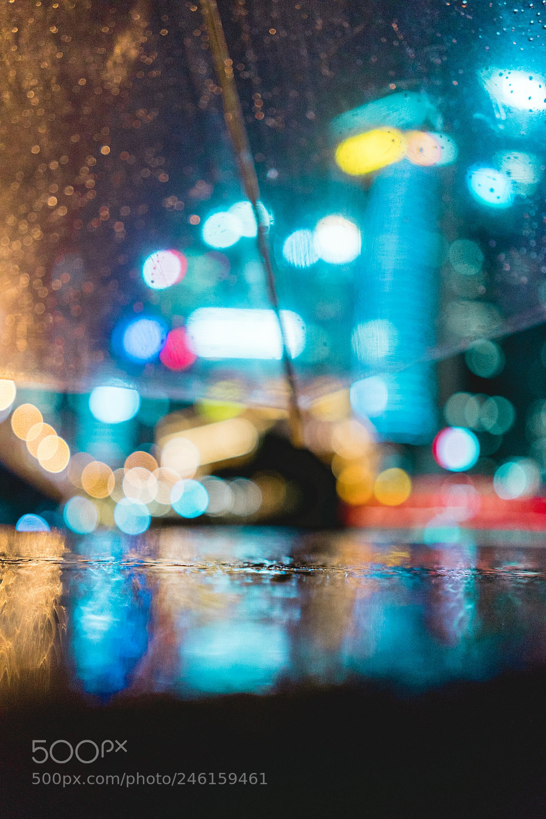 Sony a7R II sample photo. World of bokeh photography