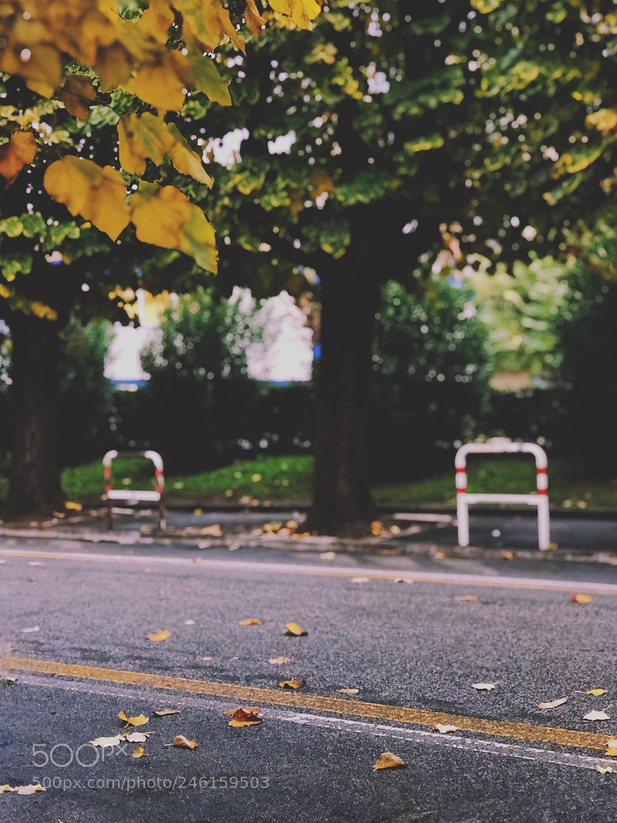 Apple iPhone 7 Plus sample photo. Autumn in rome photography