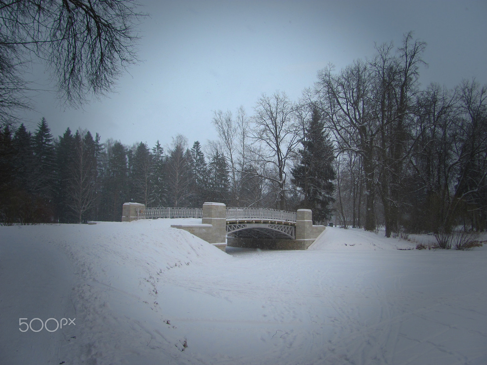 Canon PowerShot SX120 IS sample photo. The bridge in pavlovsk photography