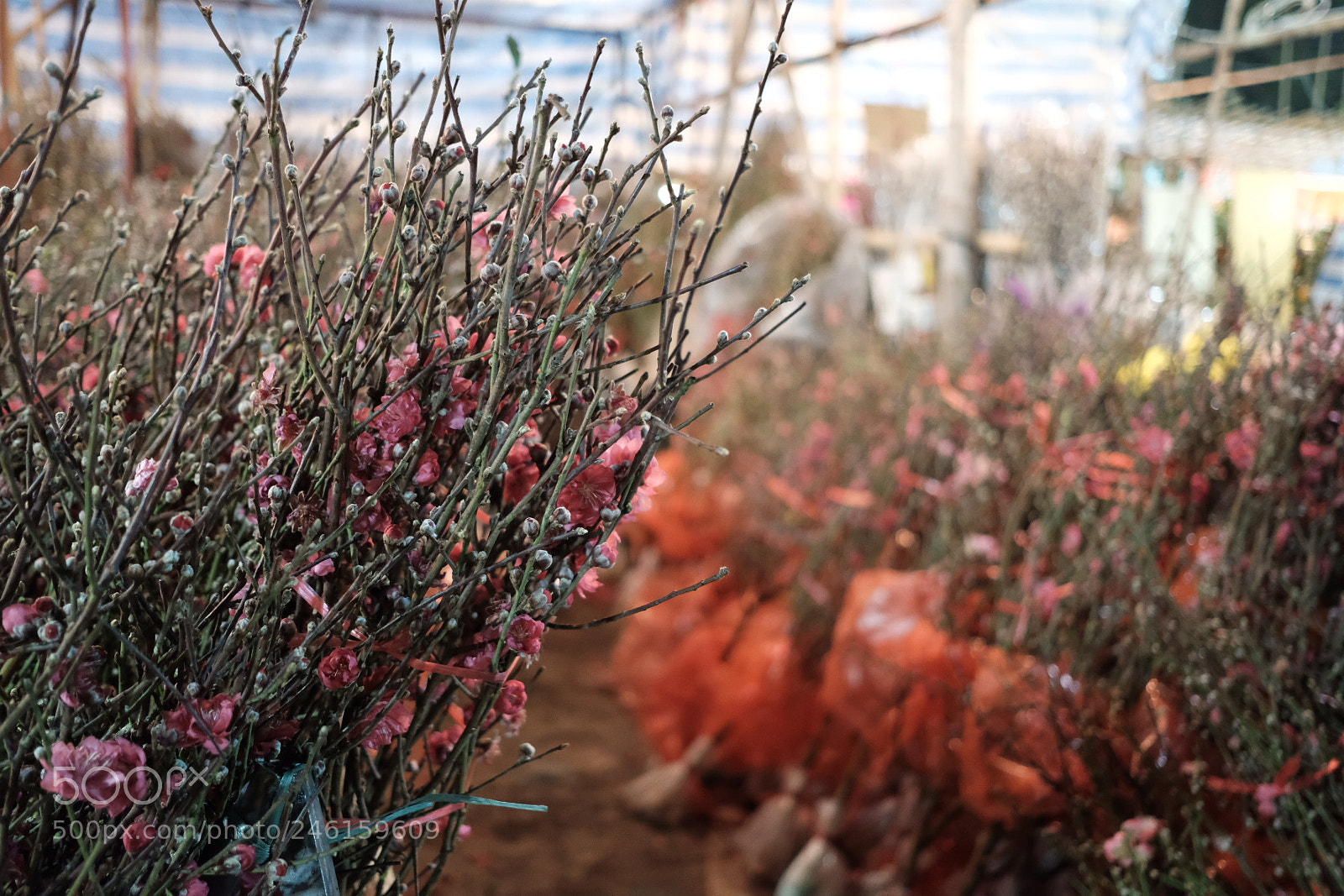 Fujifilm X-T2 sample photo. Untitled photography