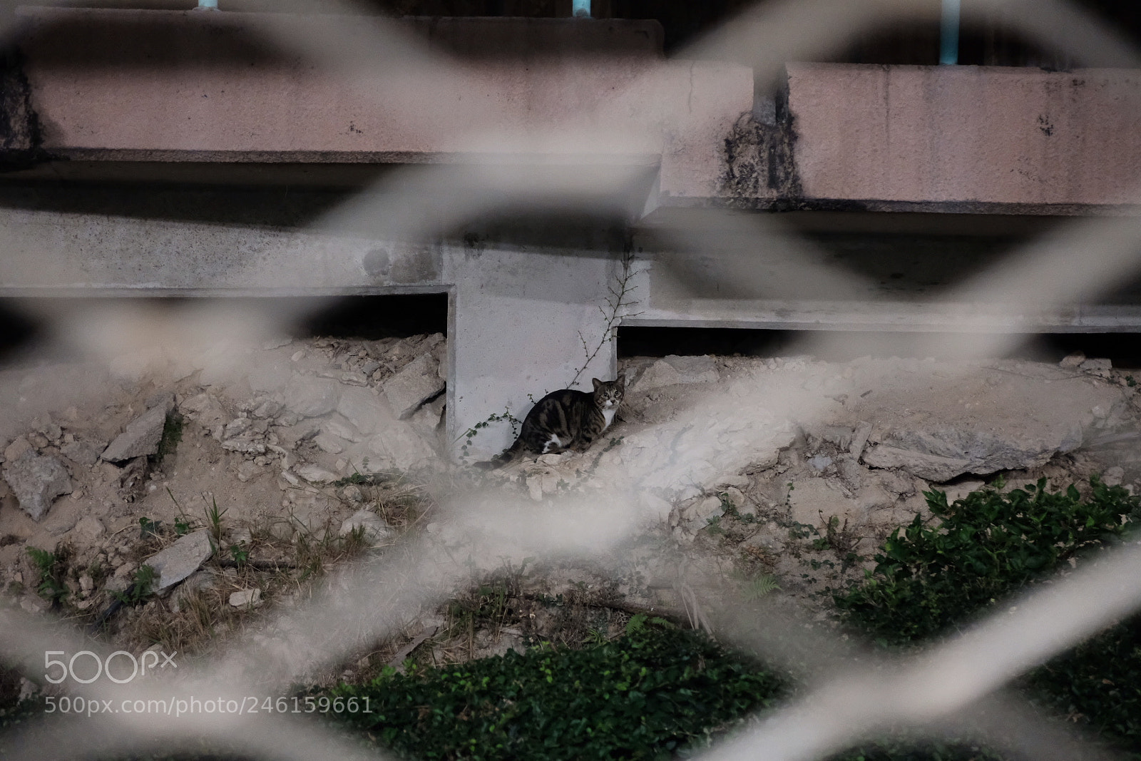 Fujifilm X-T2 sample photo. Untitled photography