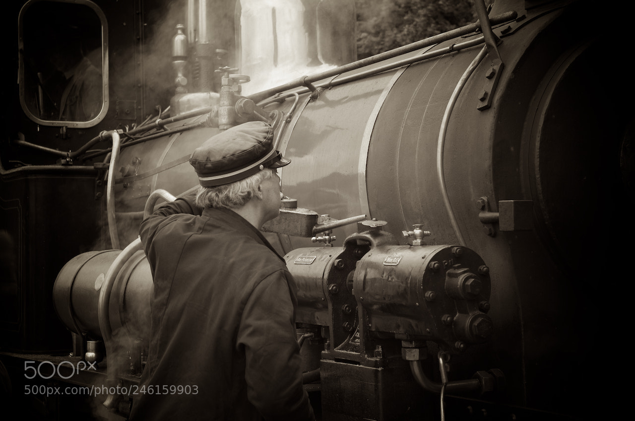 Pentax K-30 sample photo. Setesdalsbanen photography