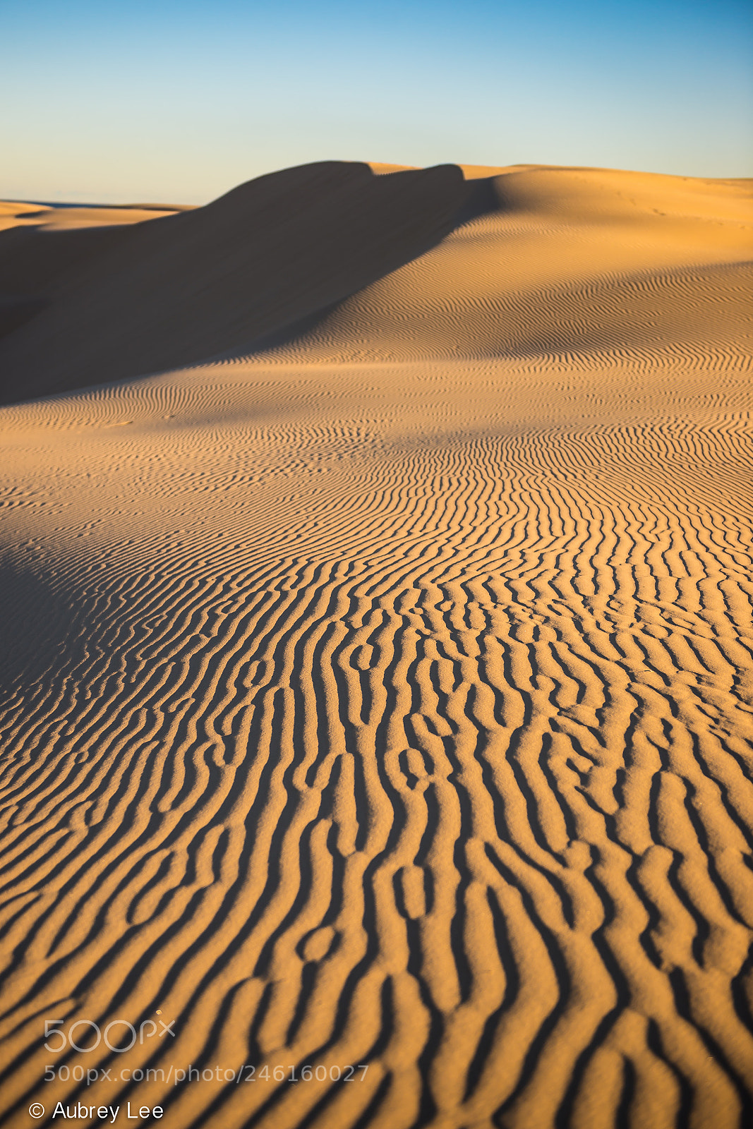 Nikon D610 sample photo. Line in the sand photography