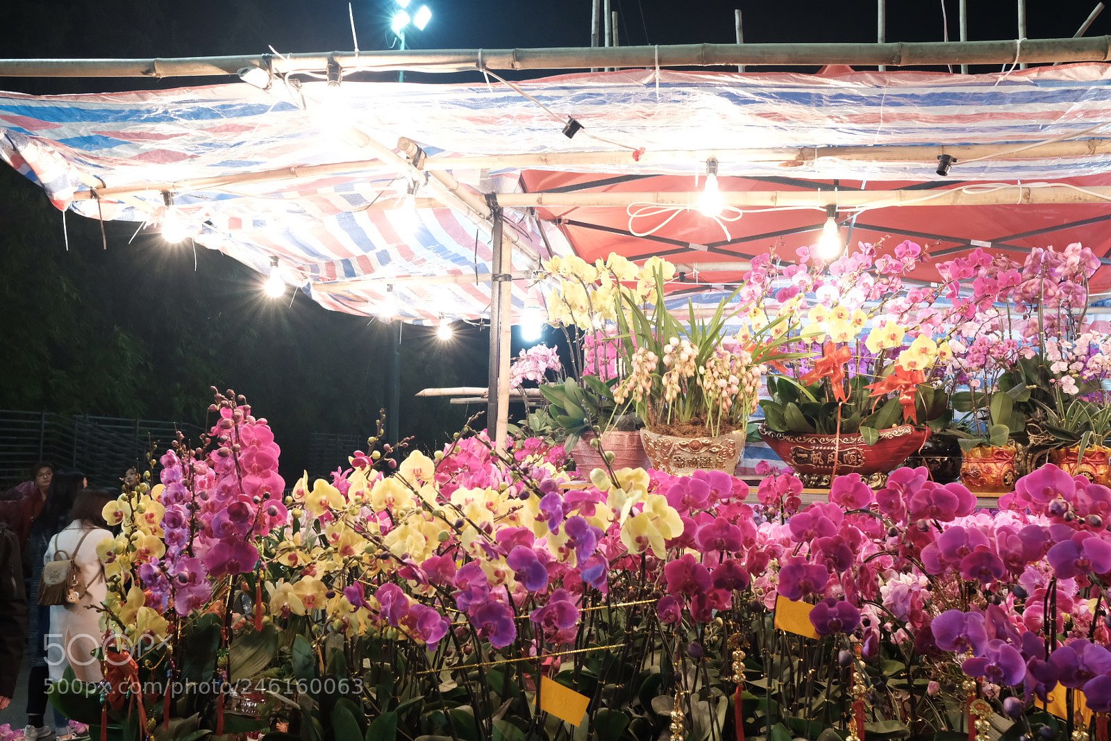 Fujifilm X-T2 sample photo. Untitled photography