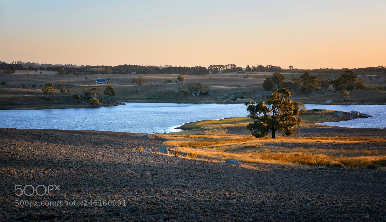 Nikon D7100 sample photo. Colours of the drought photography