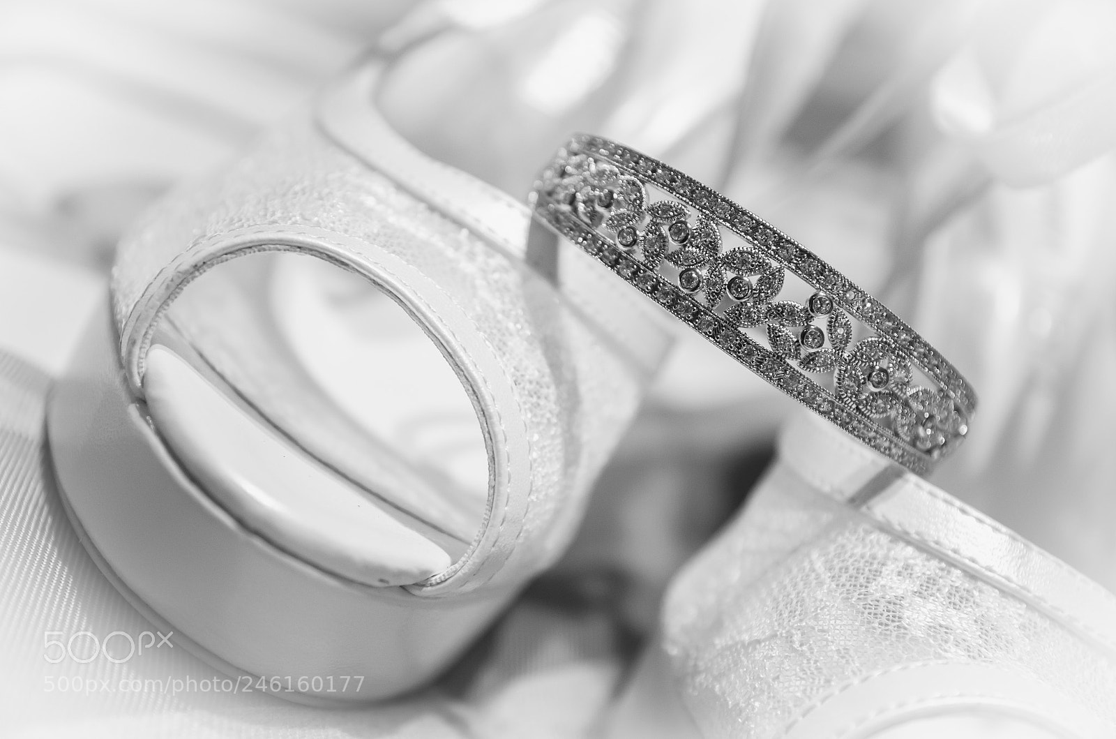 Nikon D5100 sample photo. Untitled photography