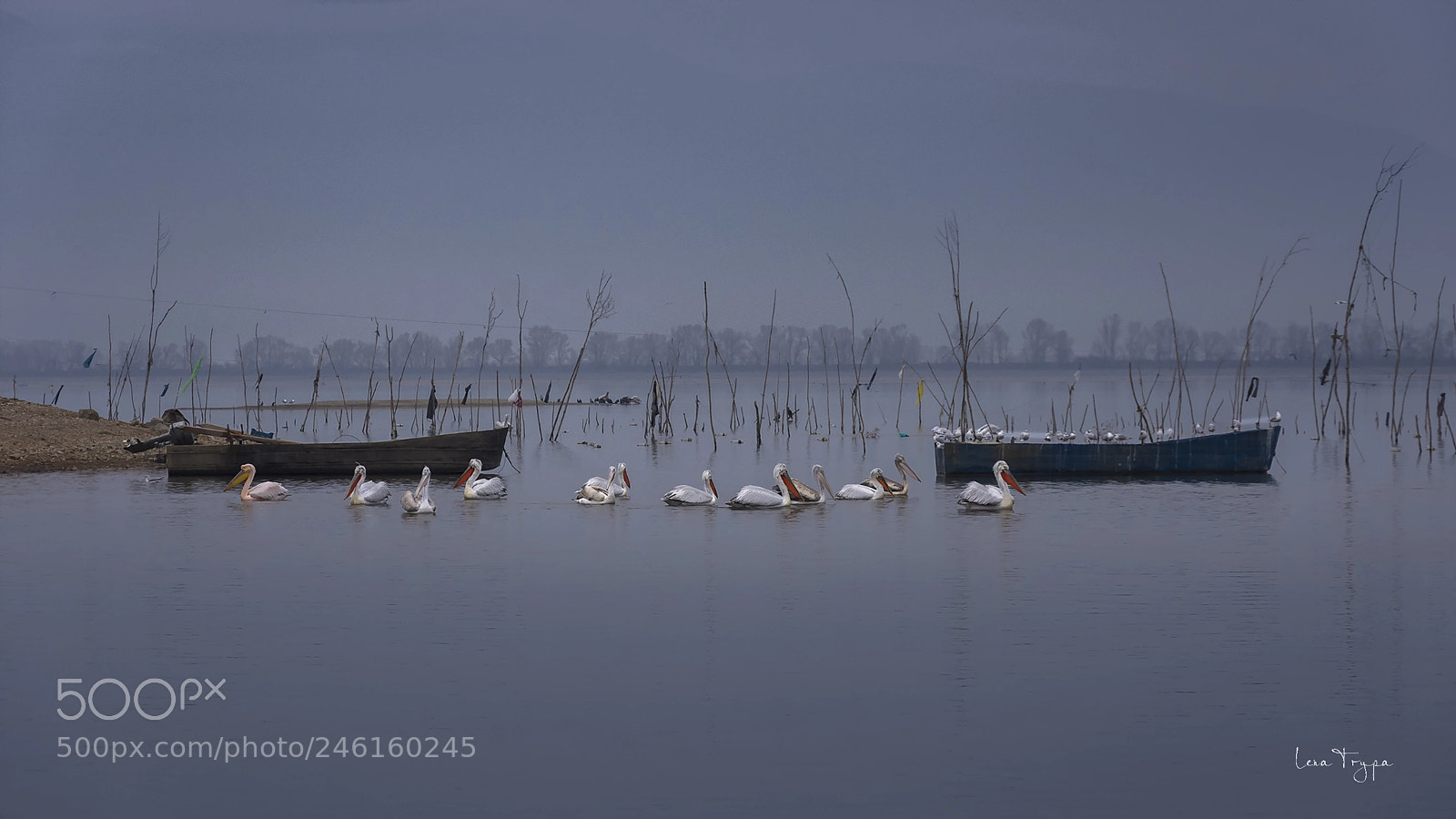 Nikon D7200 sample photo. An escape to lake photography
