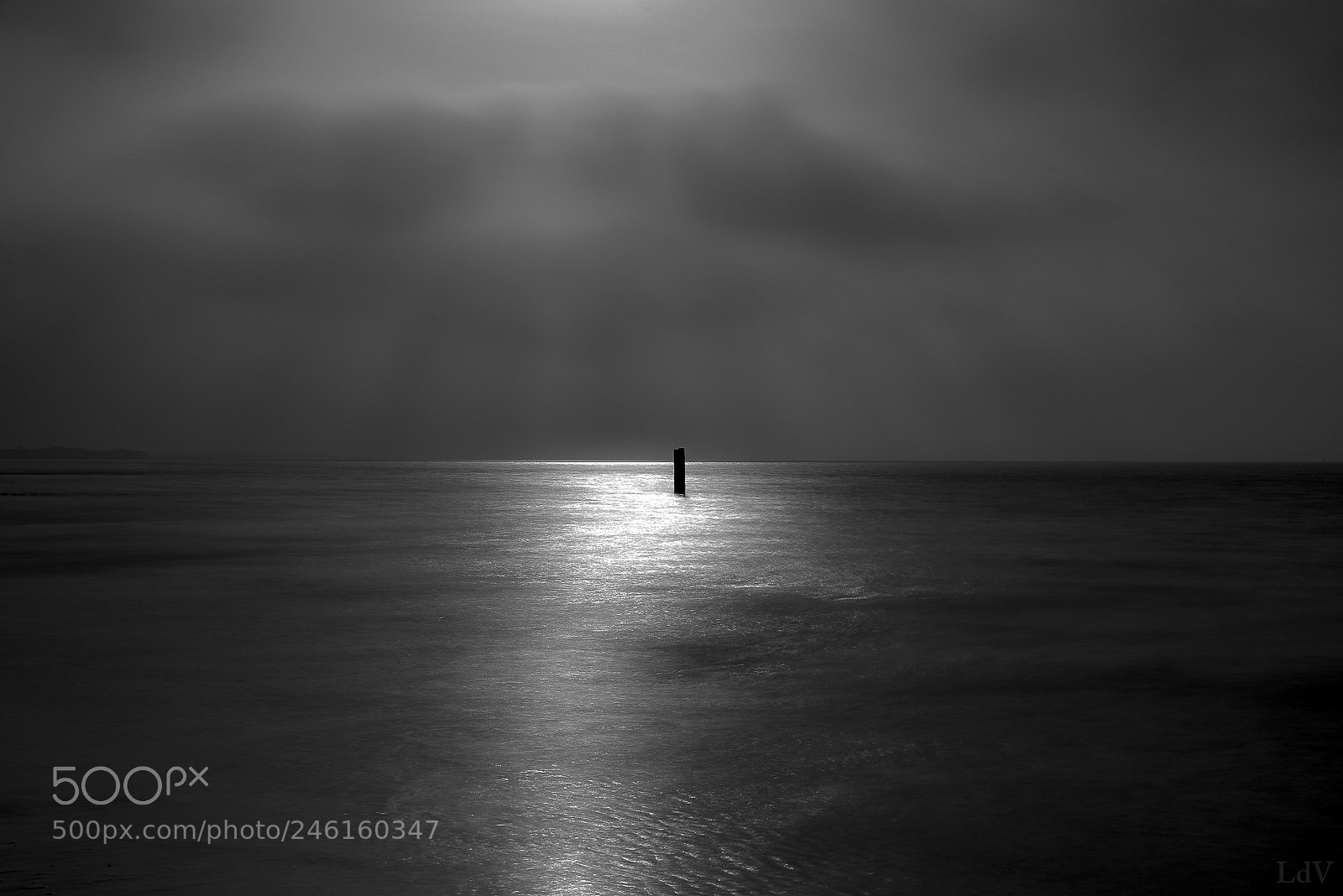 Nikon D810 sample photo. Silver sea photography