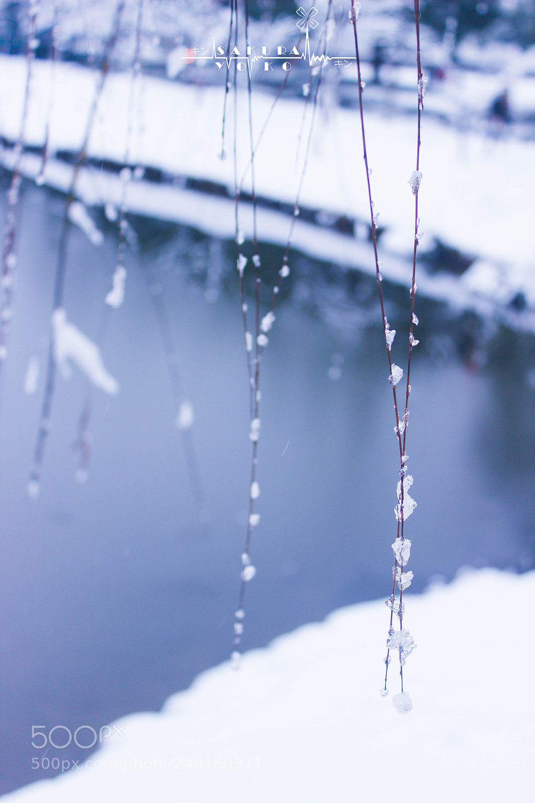 Canon EOS 600D (Rebel EOS T3i / EOS Kiss X5) sample photo. Ice and snow photography