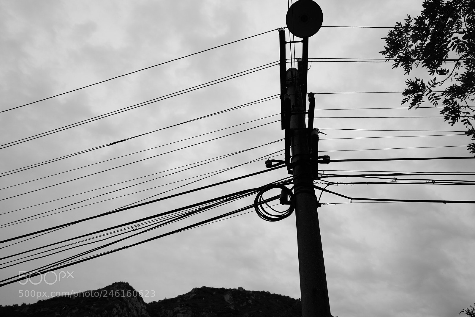 Leica Q (Typ 116) sample photo. Untitled photography