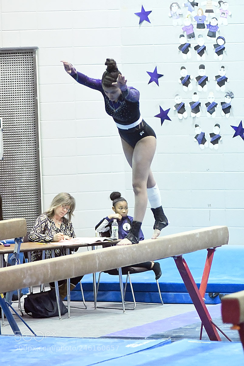Nikon D500 sample photo. 2-8_0208.jpg photography